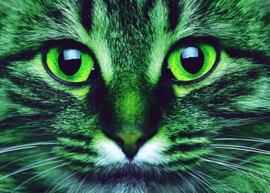 CAT GREEN