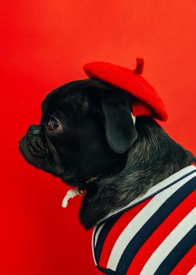 Pug Fashion Red