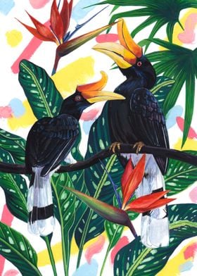 Hornbill Couple