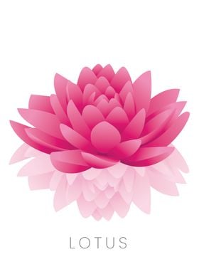 lotus flower 01