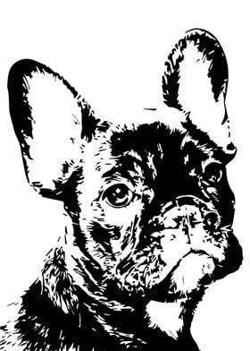 French Bulldog Pen and Ink