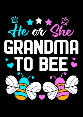 He Or She Gender Reveal Poster By Funnygifts Displate