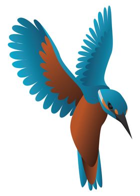 kingfisher bird 01