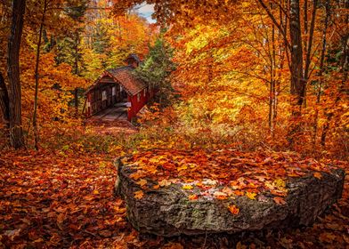 Autumn forest with house