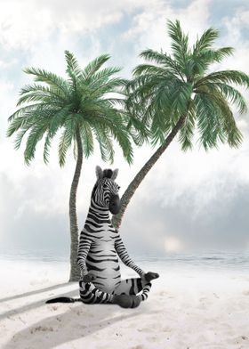 Relaxed Zebra