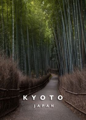 Arashiyama Bamboo forest