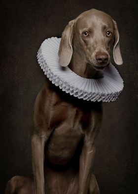 Renaissance Dog