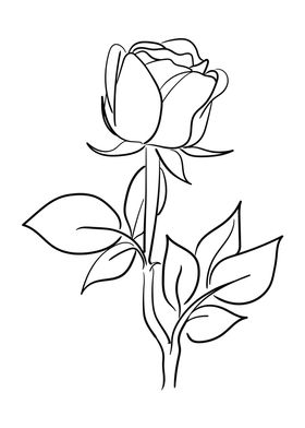 Hand drawn rose flower 03