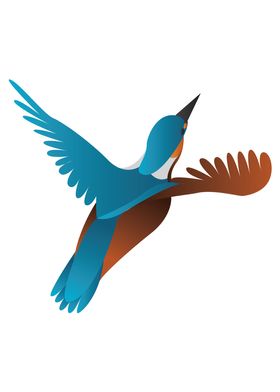 kingfisher bird 03