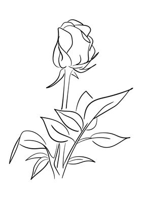 Hand drawn rose flower 02