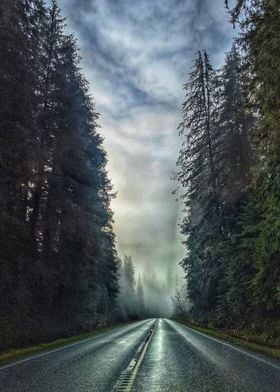 Olympic National Forest