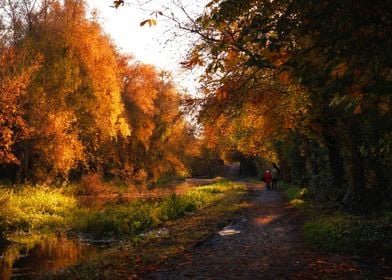 Boyne walks