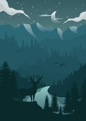 A Night in Forest