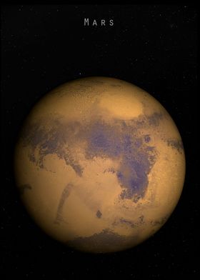 Pure Planet Portrait-preview-1