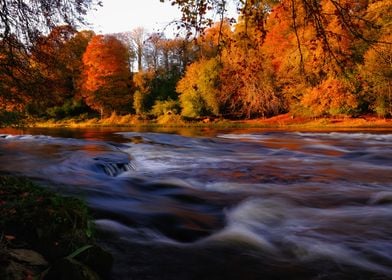 At the rapids