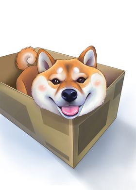   Shiba Dog in the box 