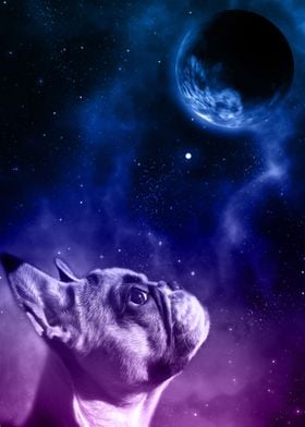 French Bulldog Dog Planet