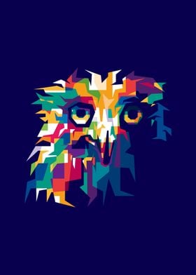 Owls Illustrations 