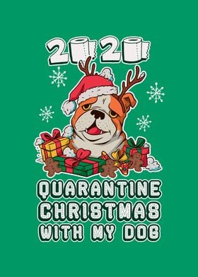 Dog Quarantine Christmas