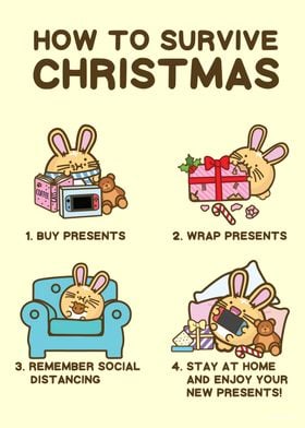 How To Survive Christmas