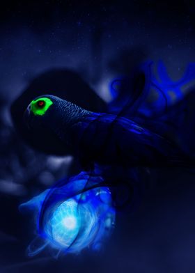 Parrot of Darkness