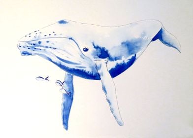 Whale1