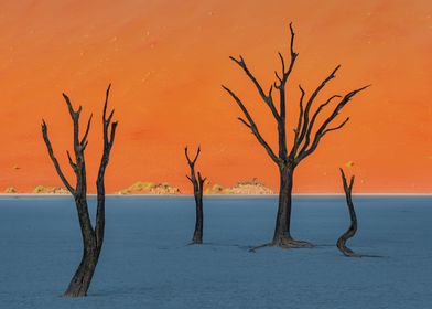 Deadvlei