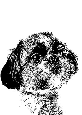 Shih Tzu Ink Pen Art