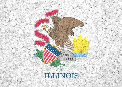 Illinois State Flag