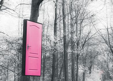 Pink Door 