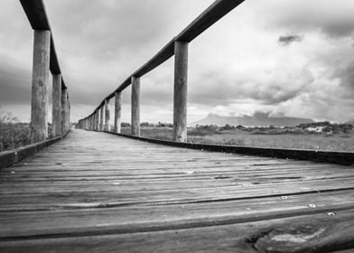 Wooden boardwalk 