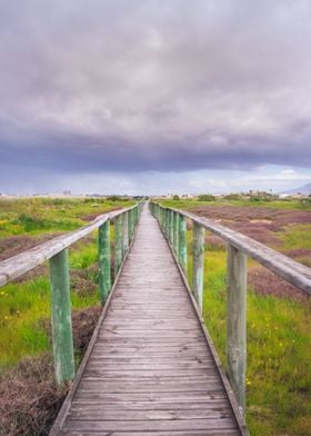 Wooden boardwalk 