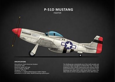 The P51D Mustang