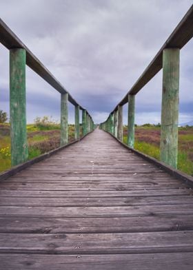 Wooden boardwalk 