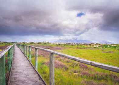 Wooden boardwalk 