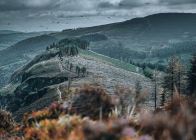 Magical  Irish Landscape