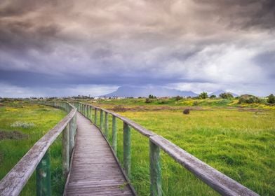 Wooden boardwalk 