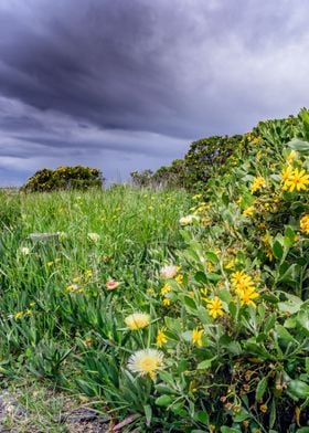 Overcast Table Mountain 