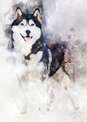 Husky Dog Watercolor