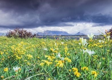 Overcast Table Mountain 