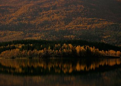 Lake autumn