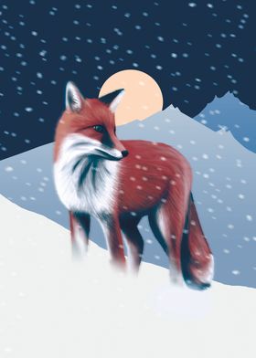 Red fox in the winter snow