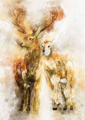 Deer Watercolor Wall Art