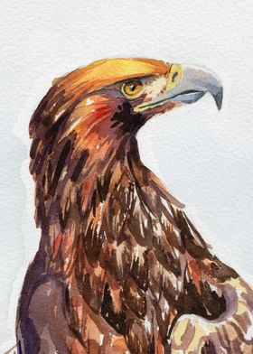 Eagle