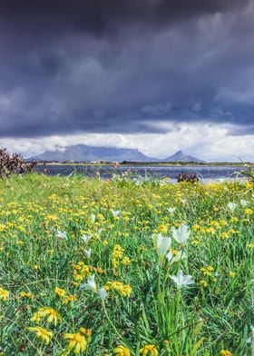 Overcast Table Mountain 