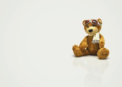 Pilot Teddy