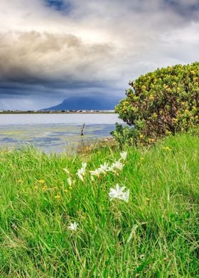 Overcast Table Mountain 