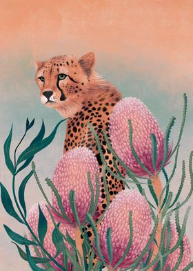 Cheetah in Banksias