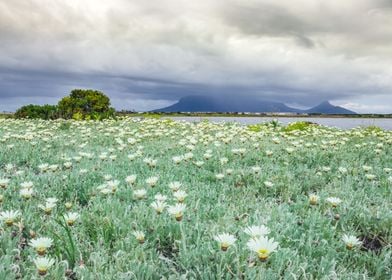 Overcast Table Mountain 