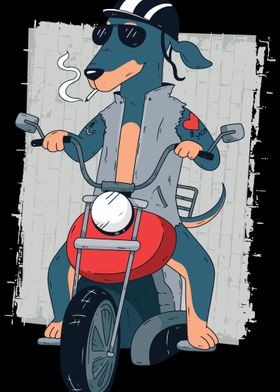 Cool Dachshund Dog on Moto